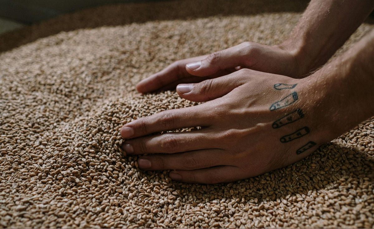 It starts with malt