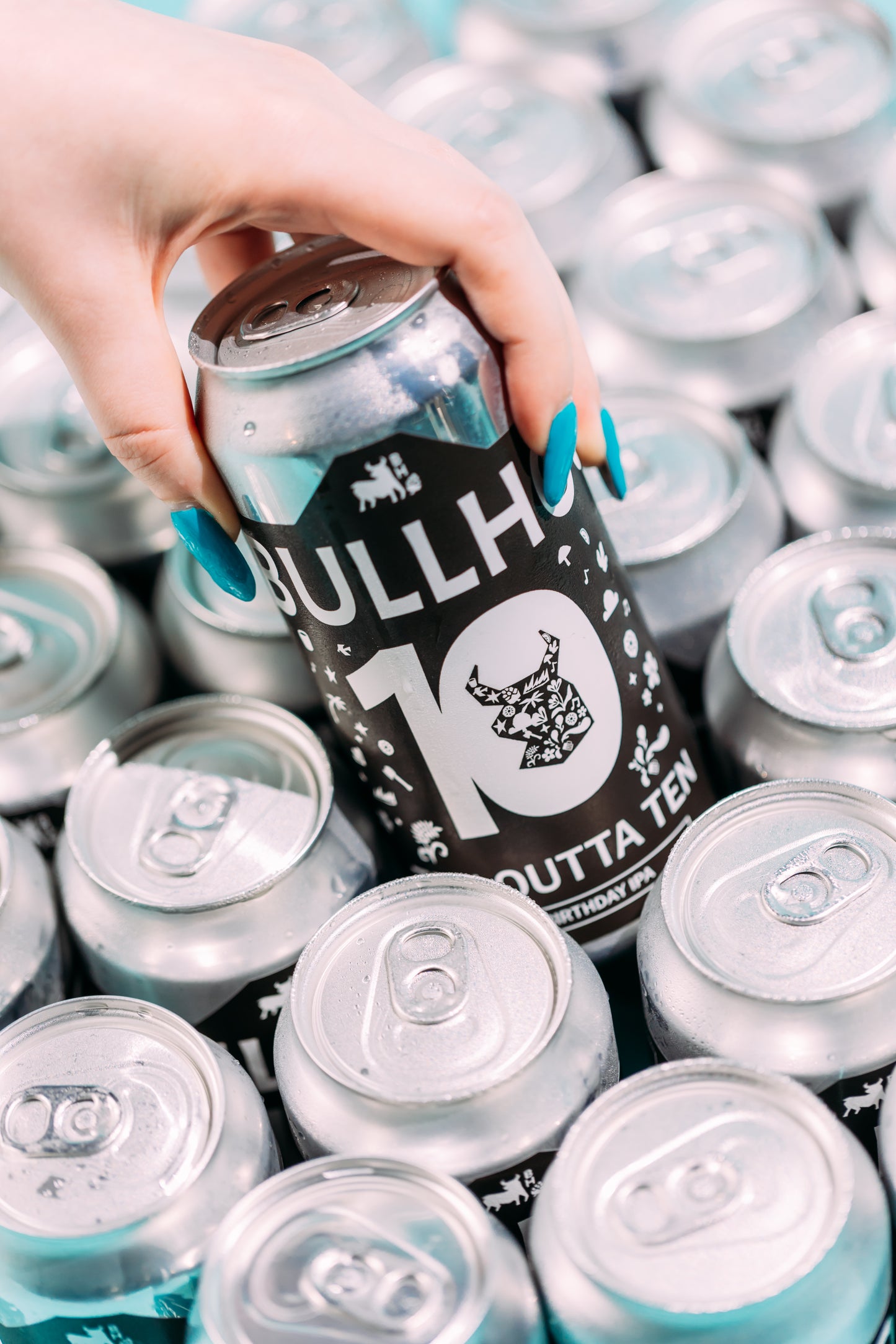 
                  
                    Bullhouse Brew Co. Birthday Mystery Box Mixed Case
                  
                