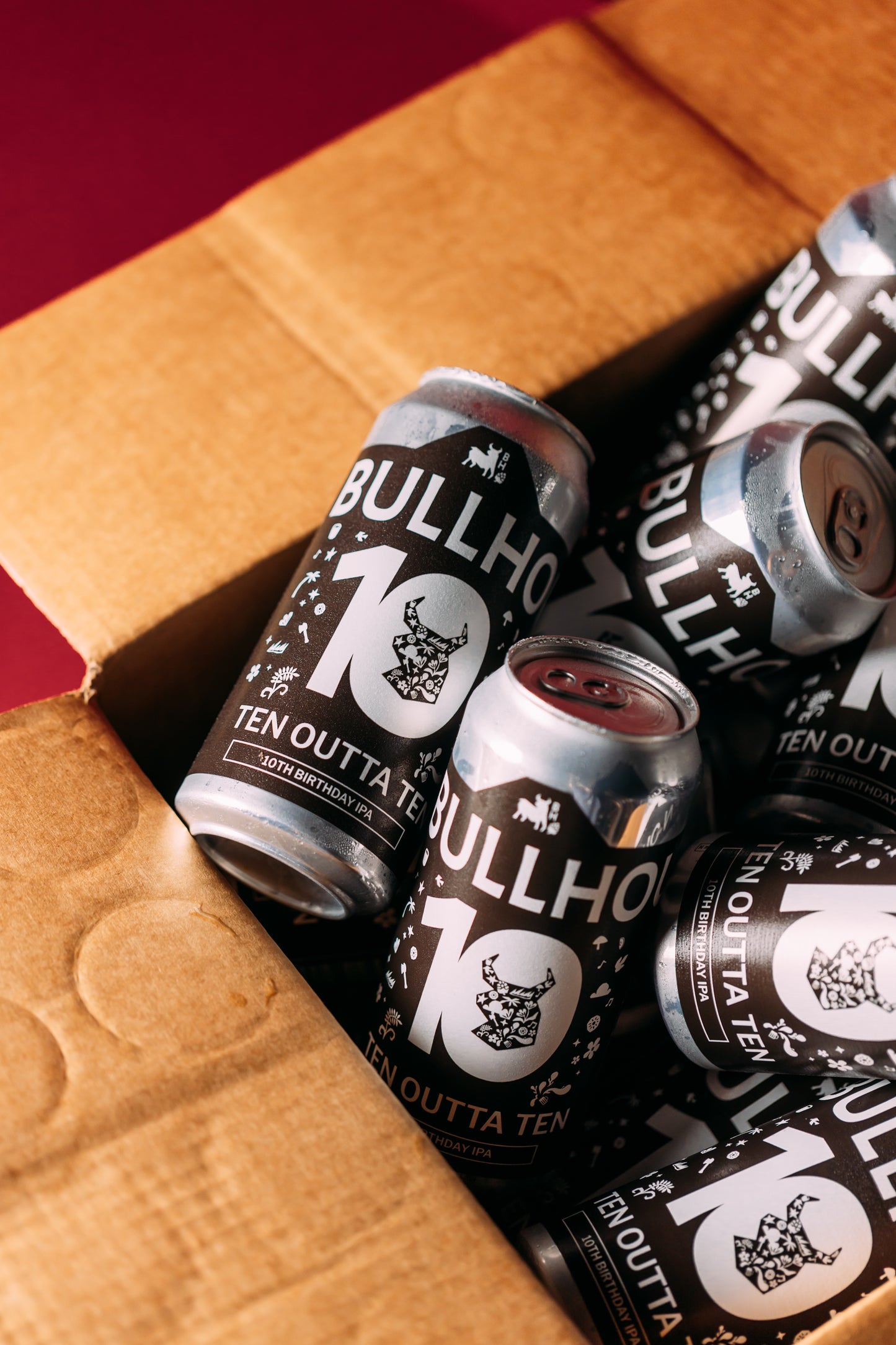 
                  
                    Bullhouse Brew Co. Birthday Mystery Box Mixed Case
                  
                