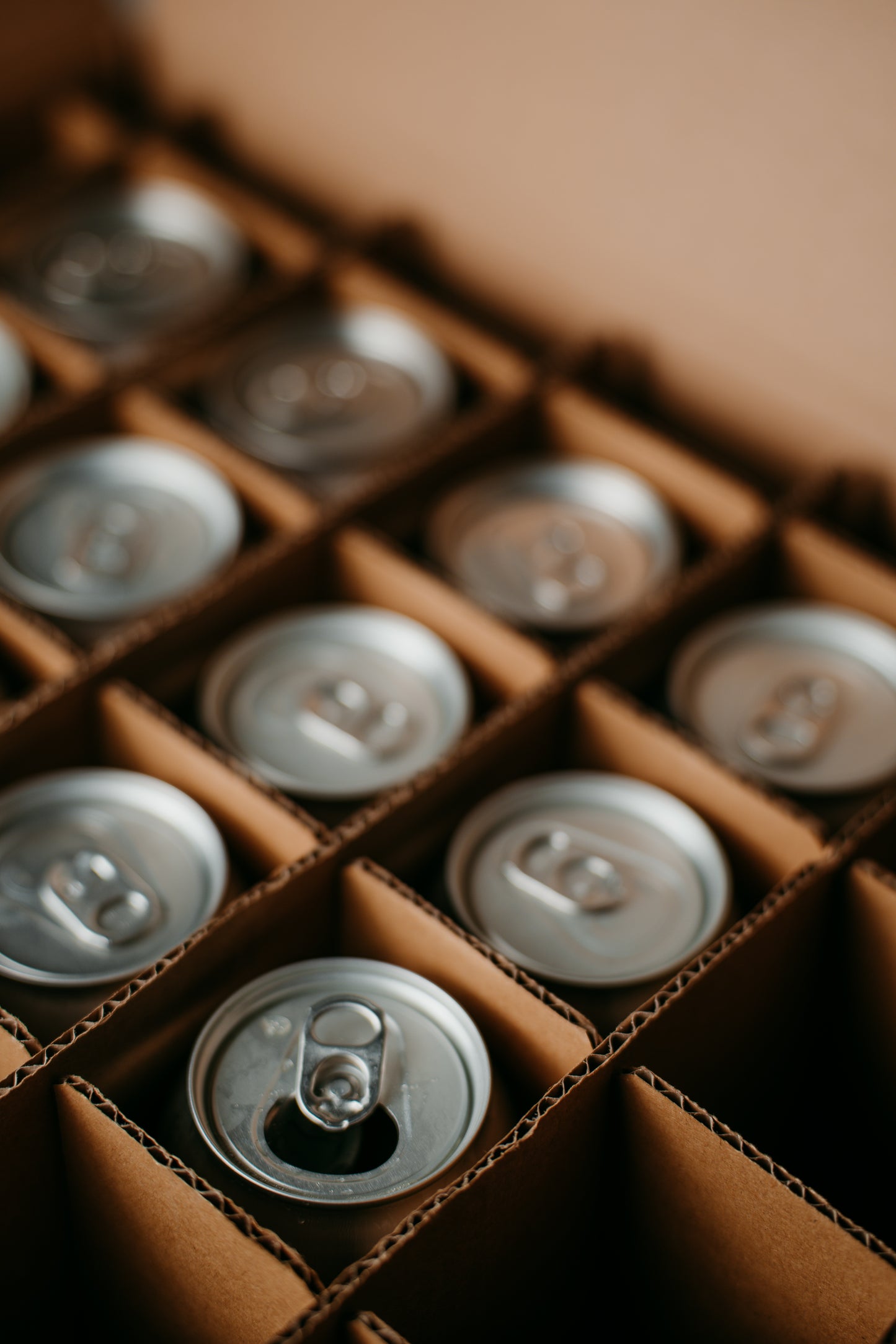 
                  
                    Fridge Filler Box (12 Beers)
                  
                