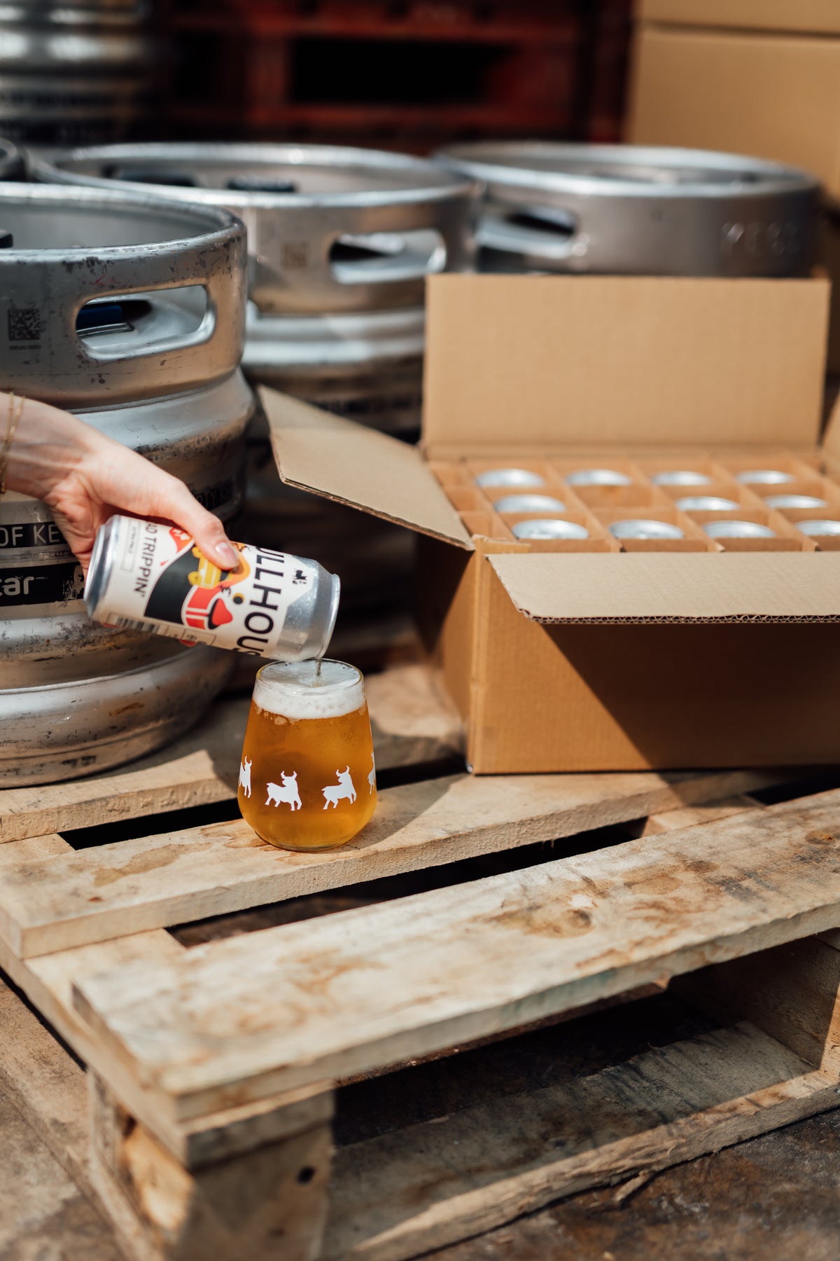 Bullhouse Brew Co. Taster Box Mixed Case