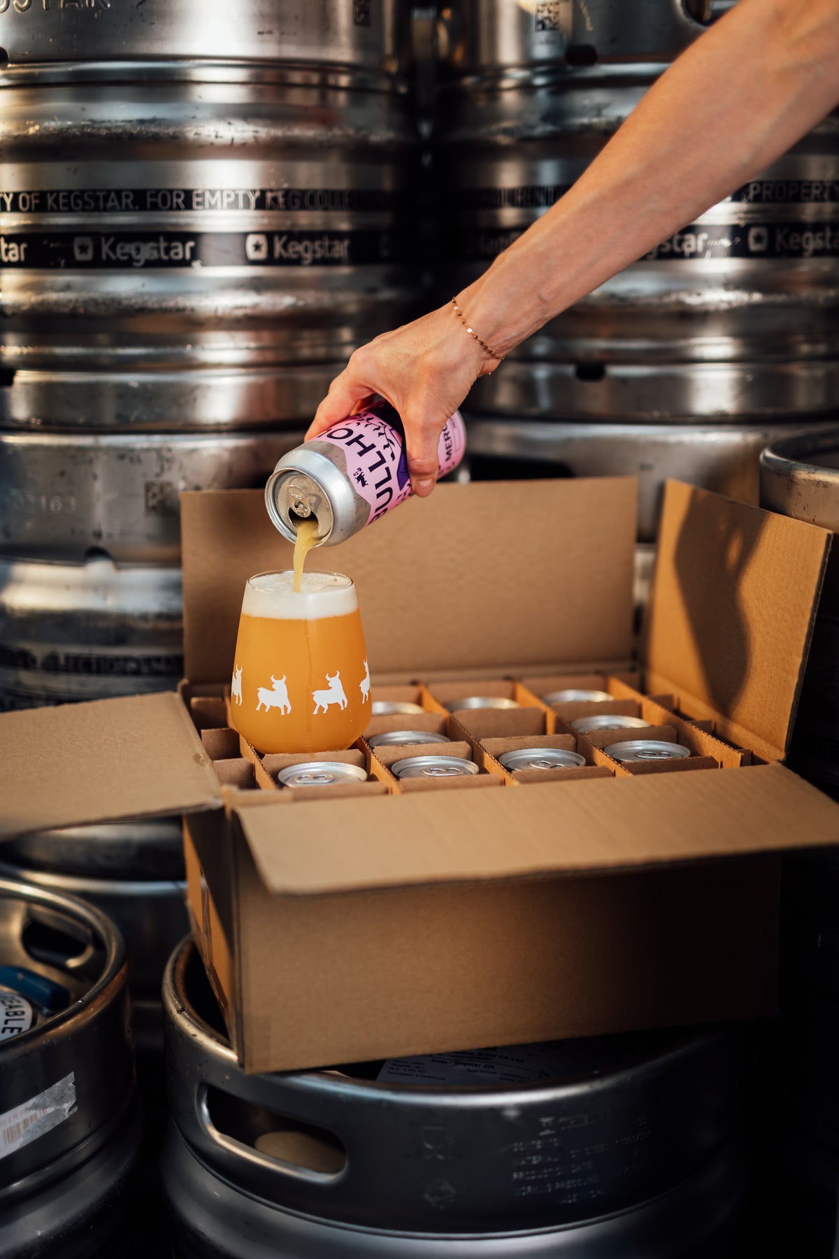 Bullhouse Brew Co. Taster Box Mixed Case