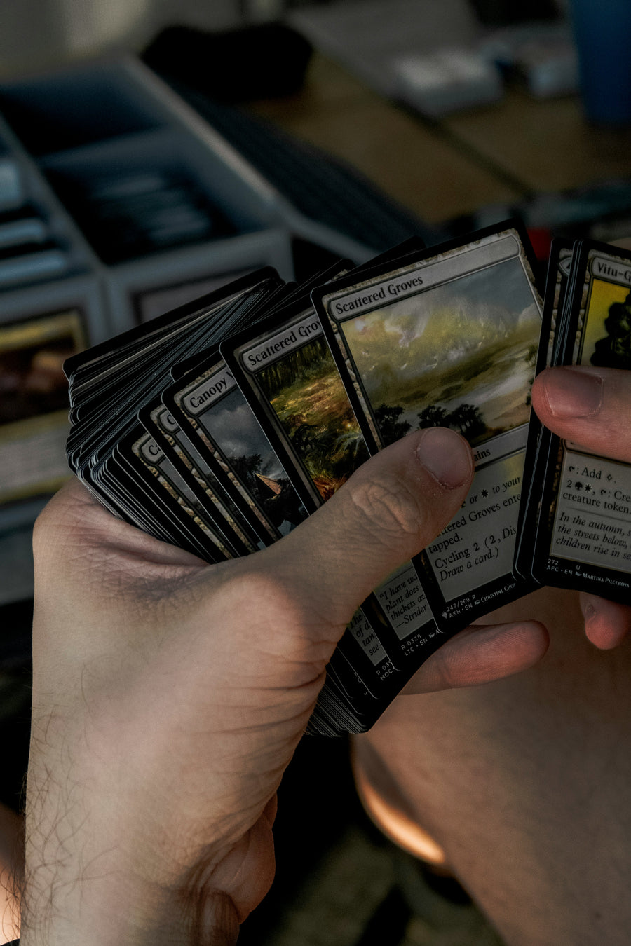 Magic the gathering